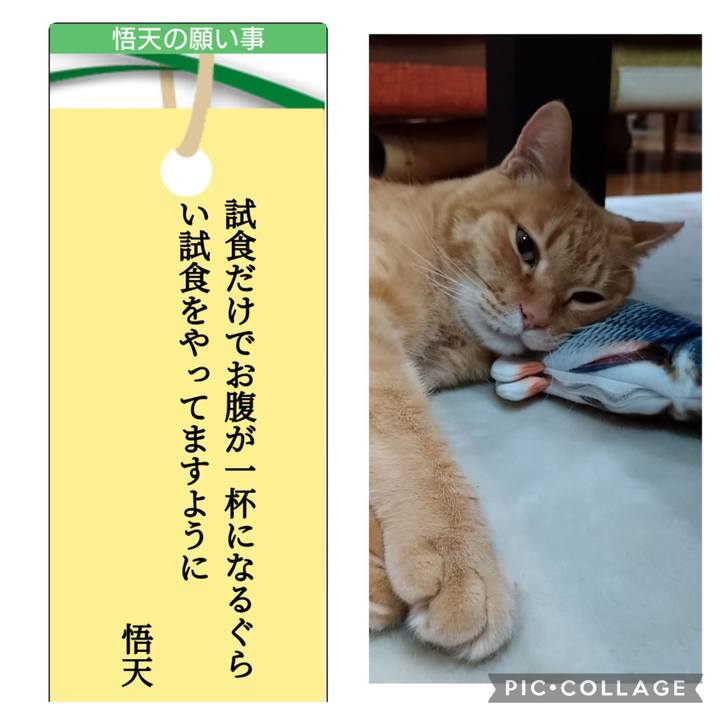 3fd4a2c3 6134 4337 93aa 772155ae64d6 1688878704873