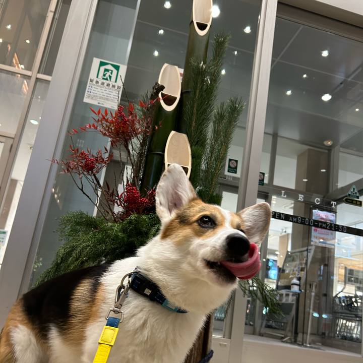 3fd4ba97 f257 47f2 a3c6 53cf0ecb2451 1767061954094