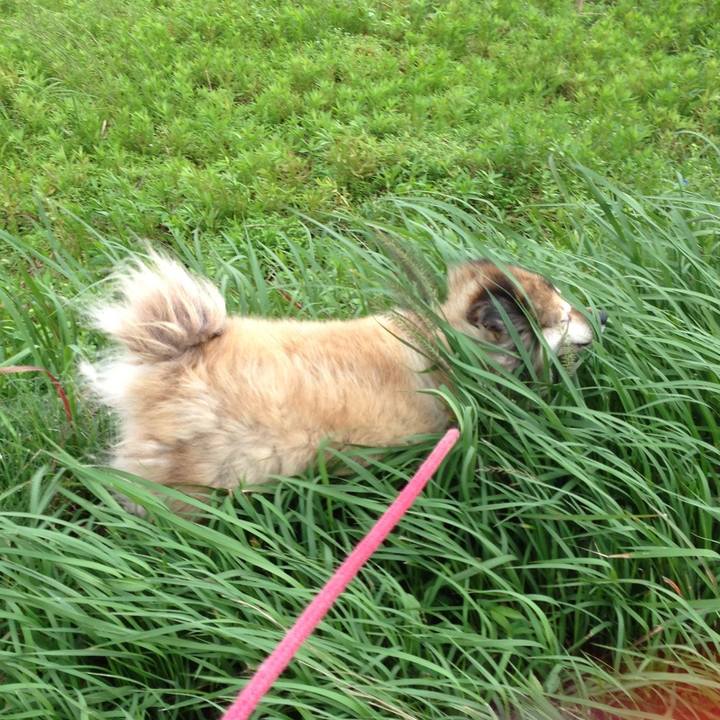 3fd5153f 1019 41e1 b037 9ac88c33e8af 1563766349357