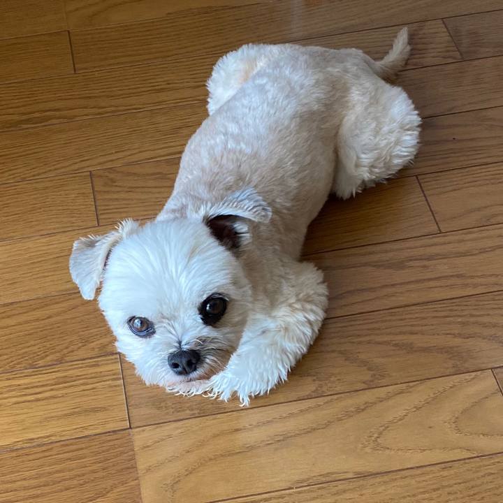 3fd5171b 2f27 474f bb71 947ee9b9197b 1590821365212