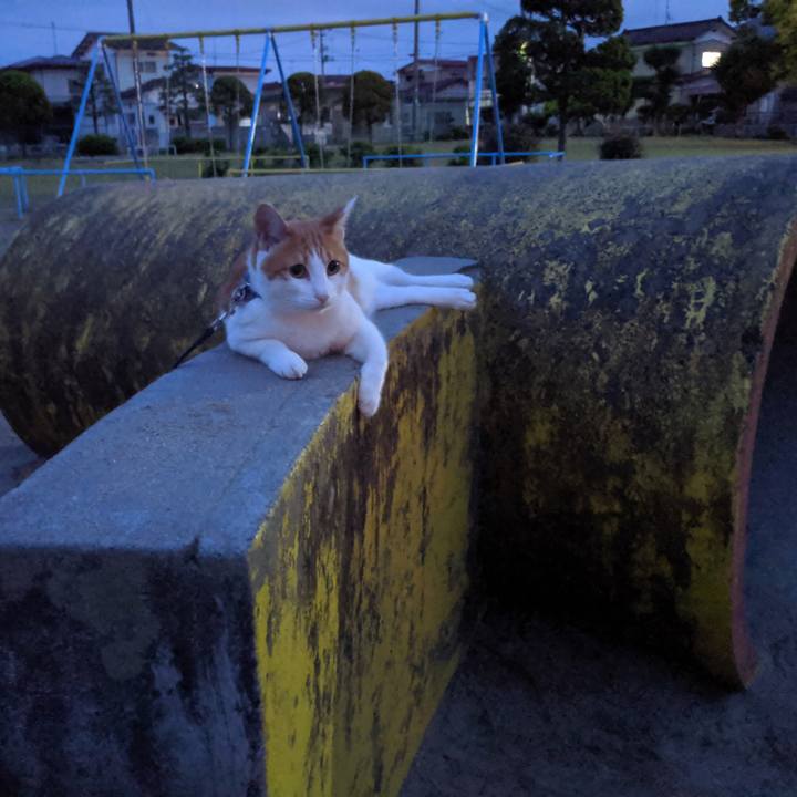 3fd5215a d603 4549 8bb3 65d157864659 1561987426967