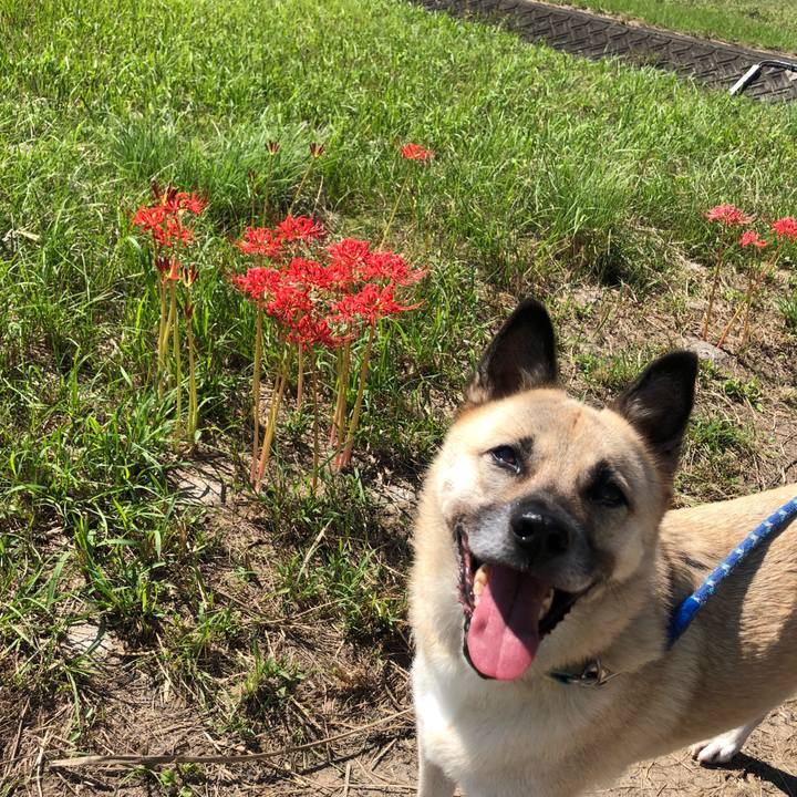 3fd53813 8b53 41d4 982f b2c4616428eb 1600760655796