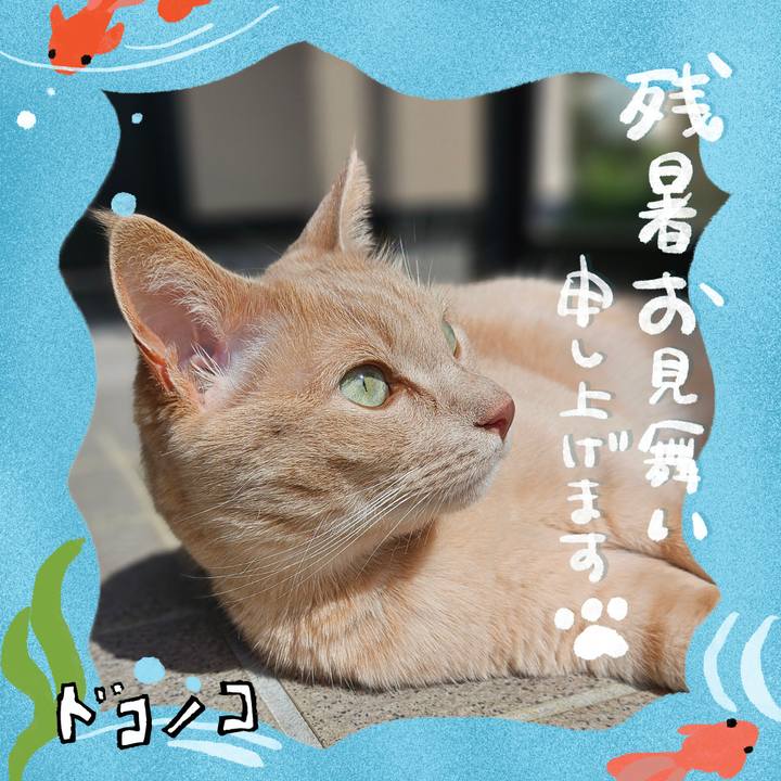 3fd590d0 cad1 4d9f a7d2 f499c11fba7f 1723340094463