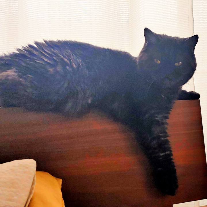 3fd59f8d ab10 495d 805b feed69b1e637 1631939836200