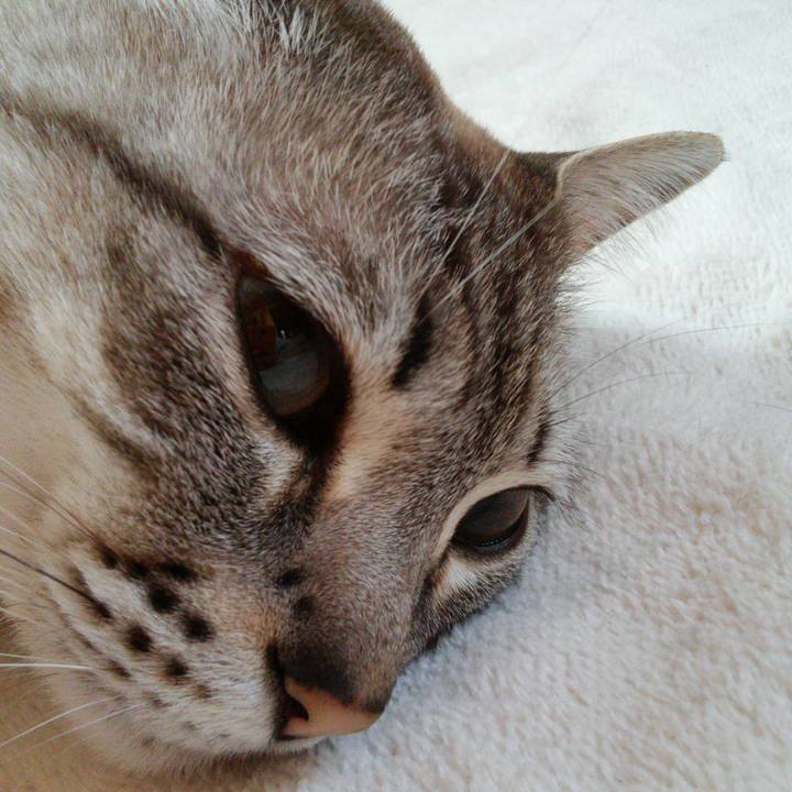 3fd5a185 1377 4857 9578 689528c8e243 1524347851990