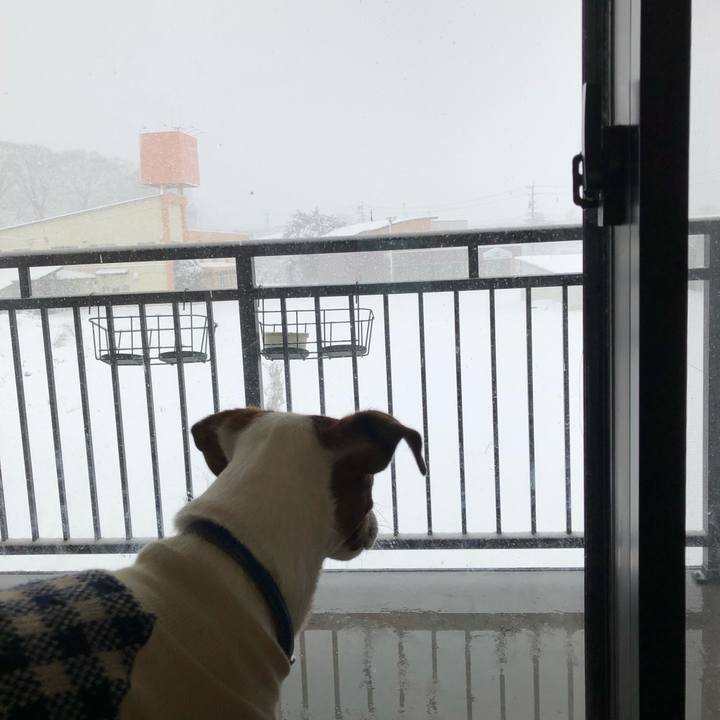 3fd5fb40 9d3c 468c 85eb 7aee57f99bf7 1544742503951