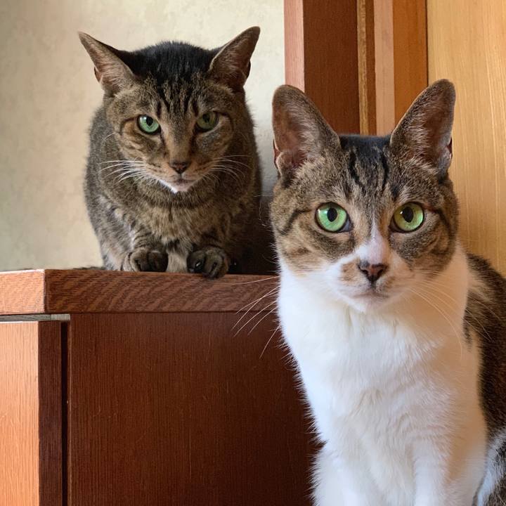 3fd630f0 c481 4e48 bcb5 dcbefefb57fc 1564011874816