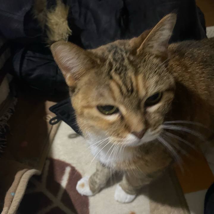 3fd63448 6bd9 4dab aed2 b6e3c116ffa9 1734857204767