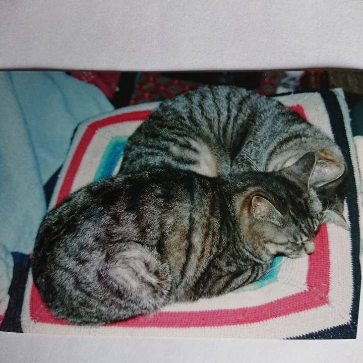 3fd64fcb 7742 44b9 b6eb 762c453c310e 1601236798907