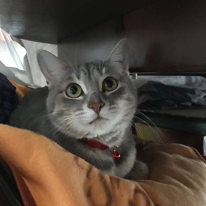 3fd66eb9 e824 4369 bd94 eaa8b5403baa 1545367550280