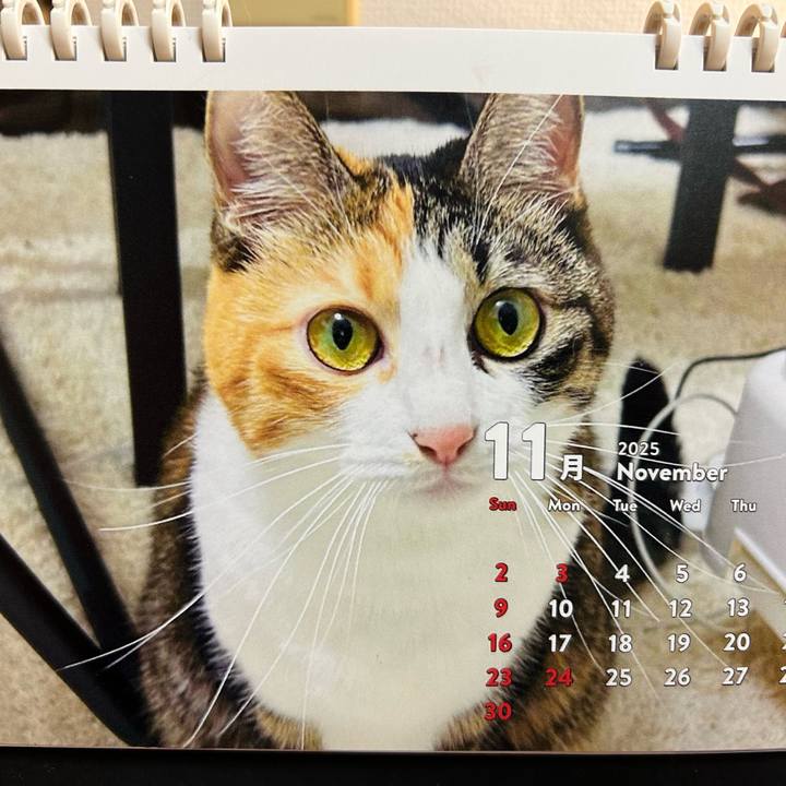 3fd734a4 c187 4923 a285 785ecdff8eaf 1761998808444