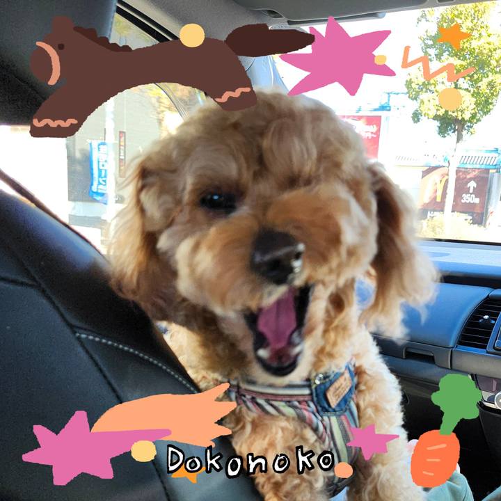 3fd73fc1 281f 4a38 964f fd3729521ccb 1771843835005