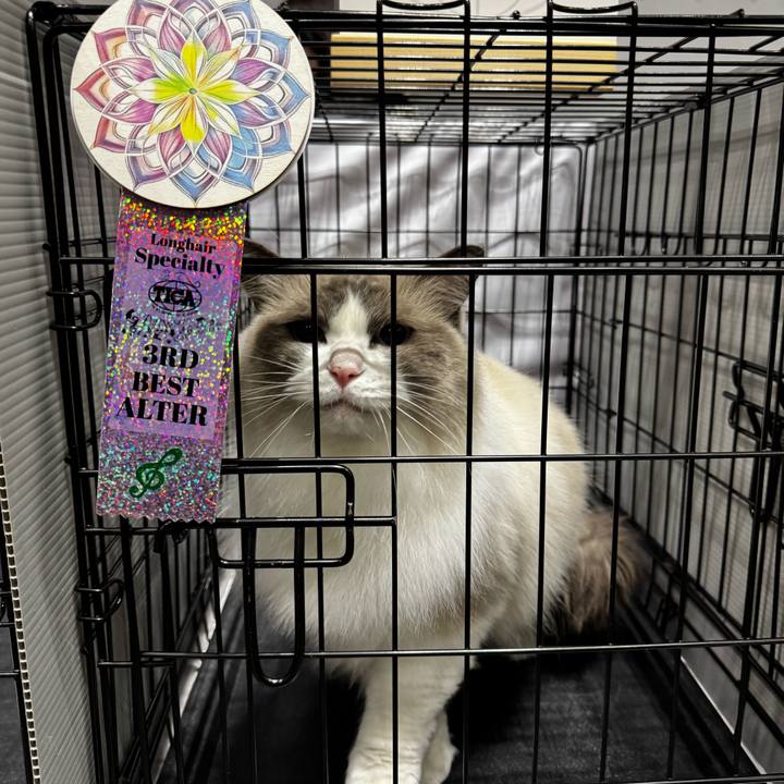 3fd754ae e60f 4429 acf9 370fb3892ed2 1768163368628