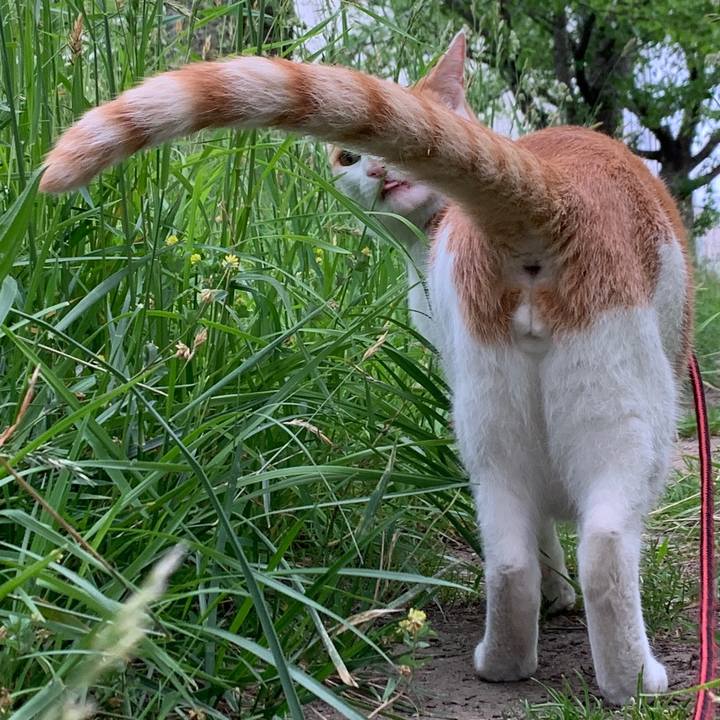 3fd7cebb a193 44a2 ab1d 057d8d90ed5d 1591005350102