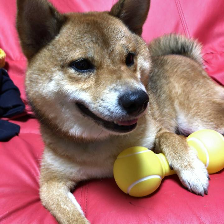 3fd7e571 07b8 41c0 9c1d f7663bfc8bf7 1532151348402