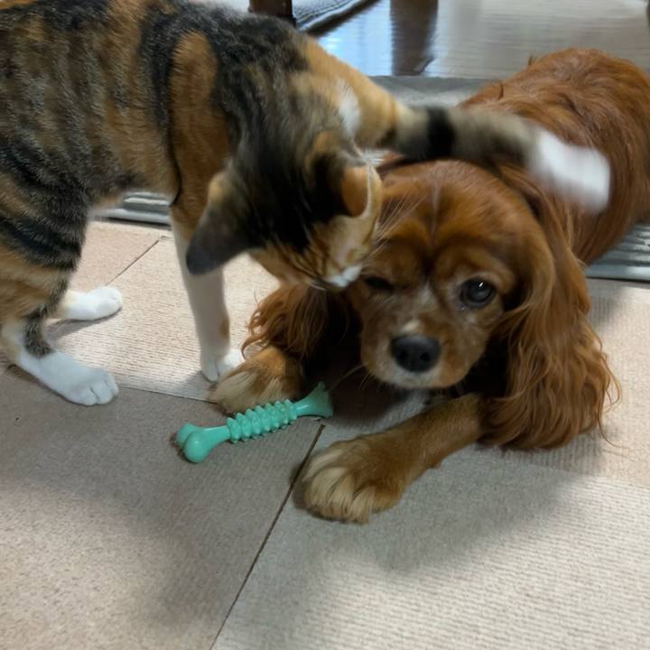 3fd7f75a 8966 46db 8807 ed5c3e42d2b8 1657752034853