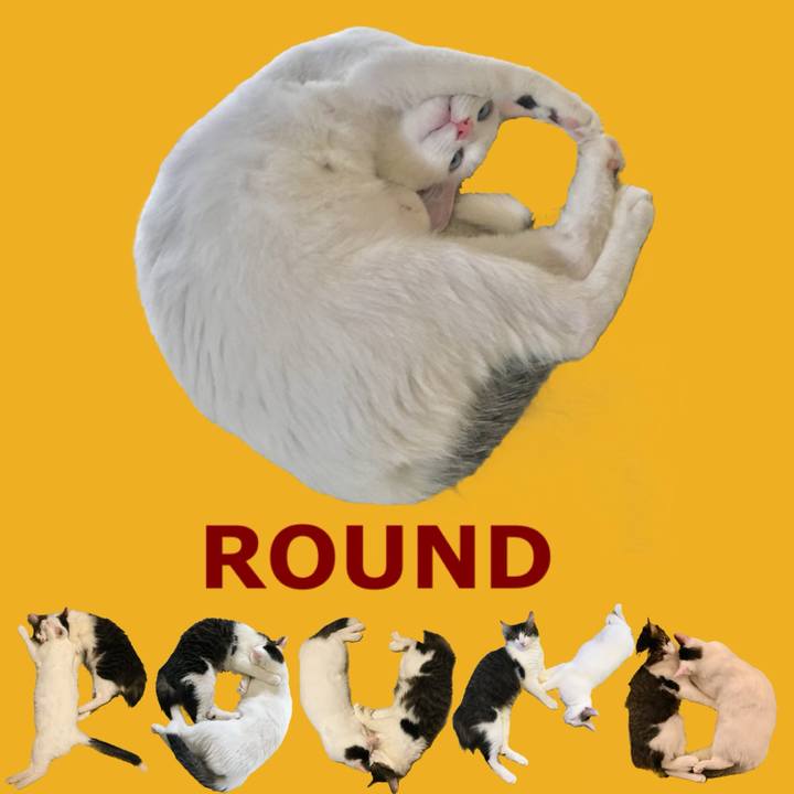 3fd819df b65f 46d6 9c1e 04e9201da4e0 1667000405981