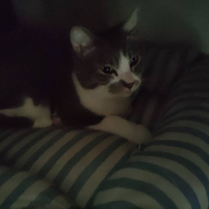 3fd82df1 cdbd 4c66 814c 6d314026e77a 1653177245418