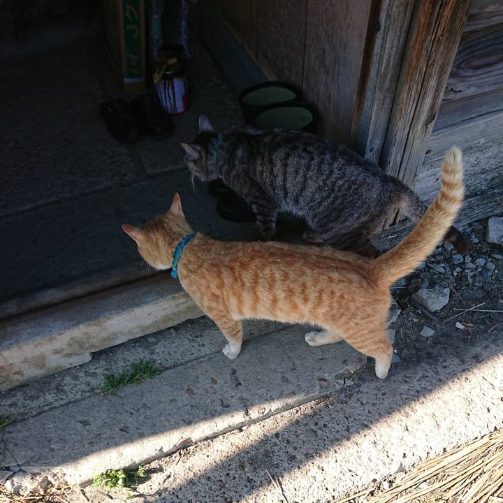 3fd848ae f9c9 4d93 94ca 91d8421107bd 1556959471835