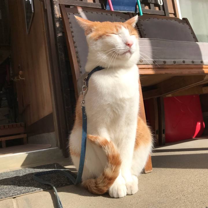 3fd859bf 0a1c 476b 9135 fbc0de9187c3 1510798917441