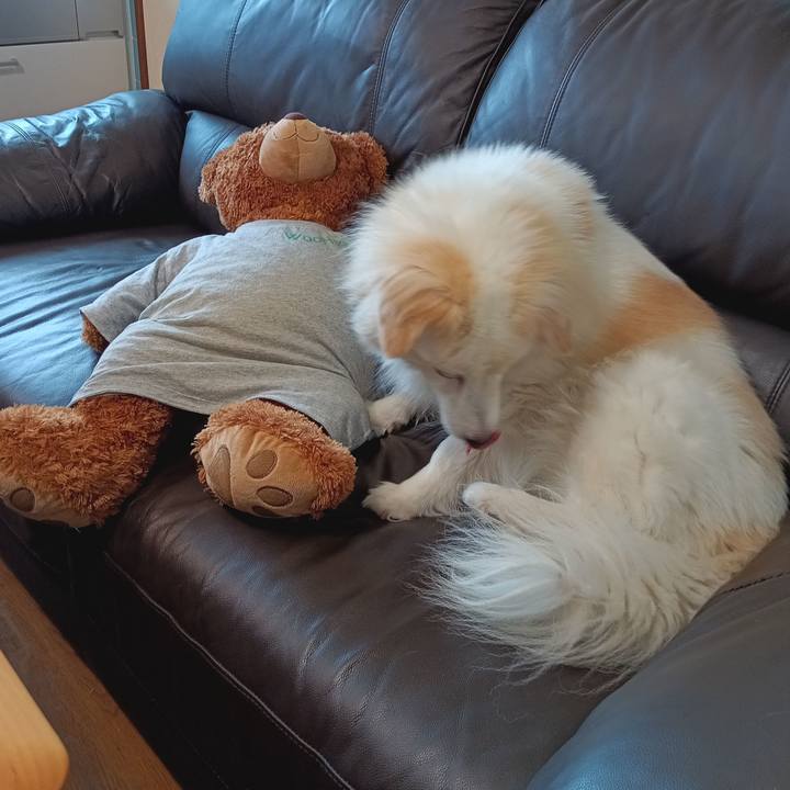 3fd87231 e853 445f 98e1 48ed53e1ab87 1690956109837