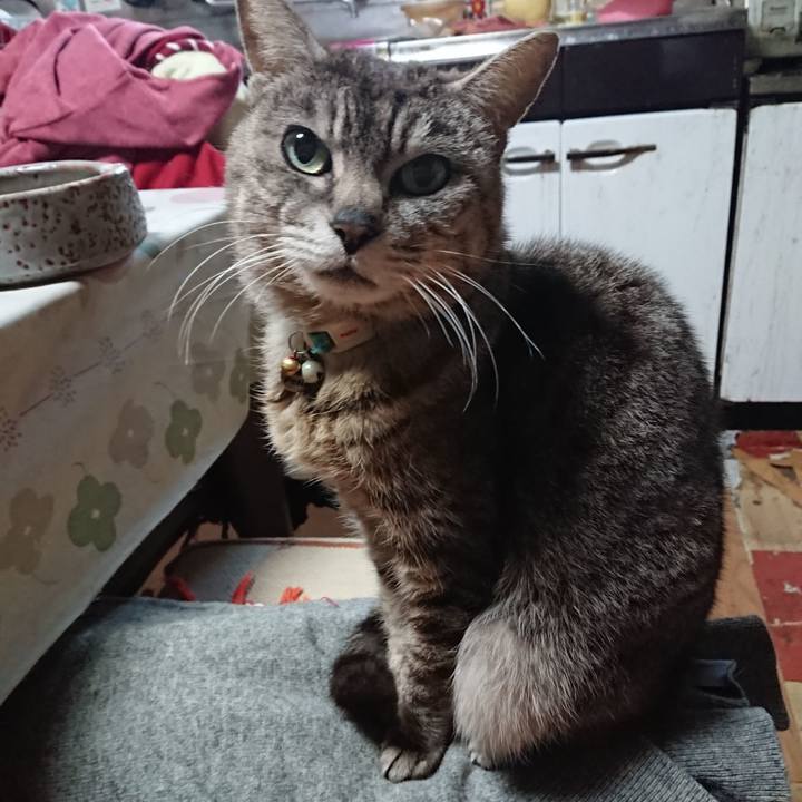 3fd893d6 6e03 465b b252 725828f245d8 1559246329400