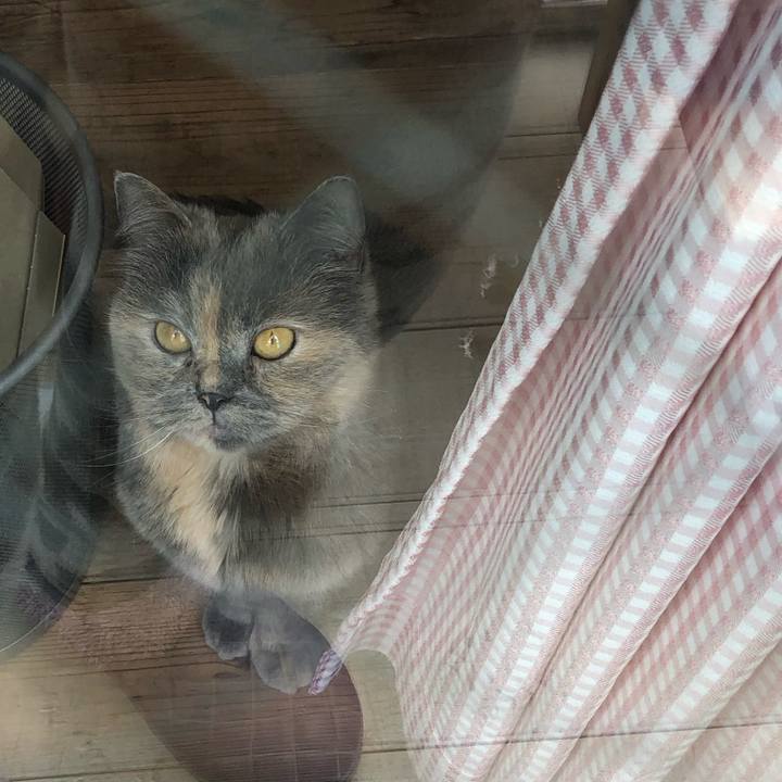 3fd8ba0c a213 4ee0 9598 7f5867dd8572 1775241708126