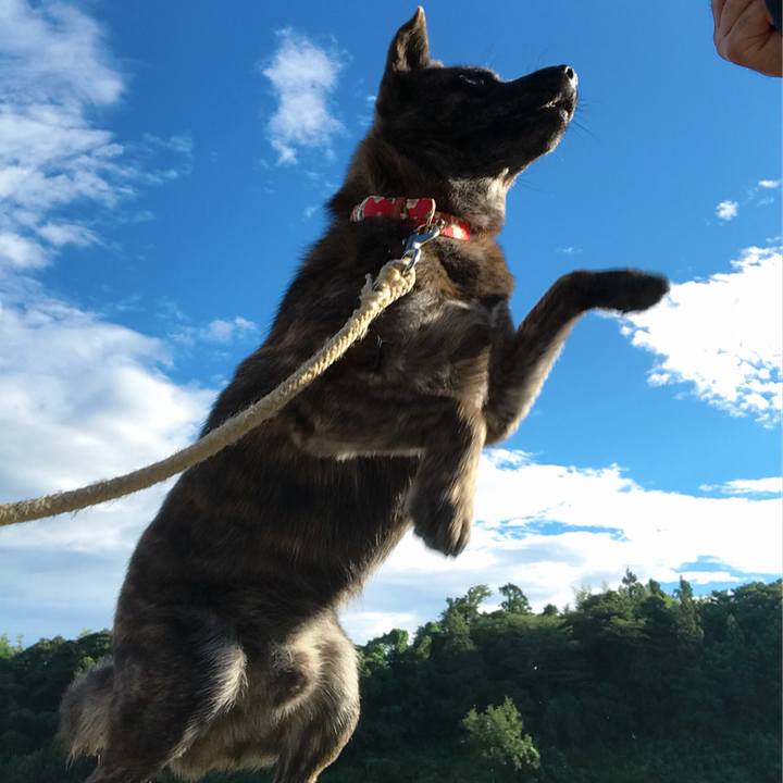 3fd8e110 c9b8 4adf b112 4460486885c6 1536015432254