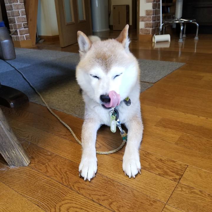 3fd915db d1e9 403d bd50 543490e595d4 1659422284903