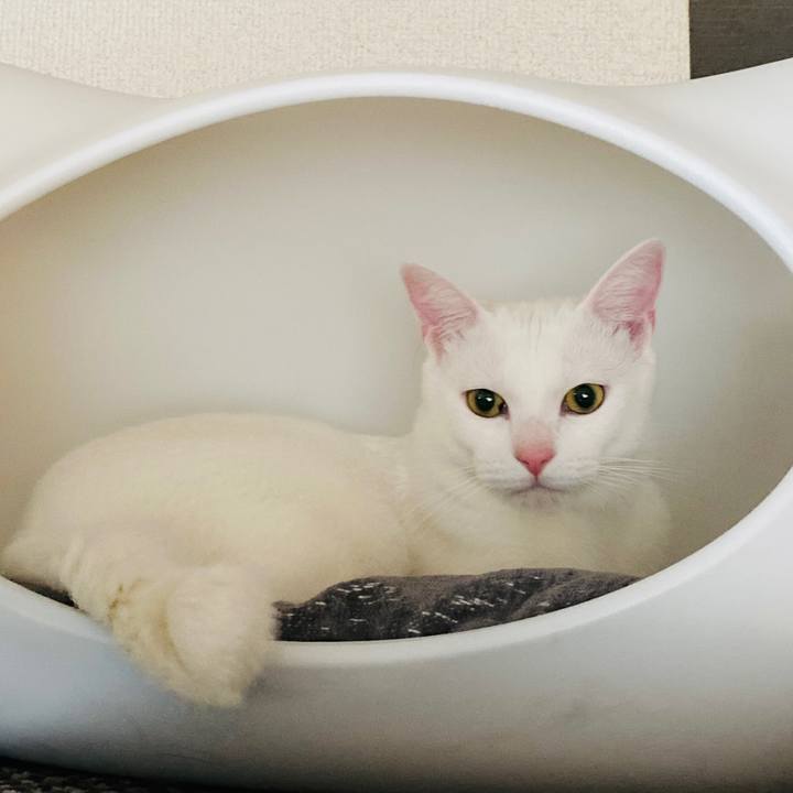 3fd95694 d194 43c6 9ccd e7ef1834f9d4 1708703313164