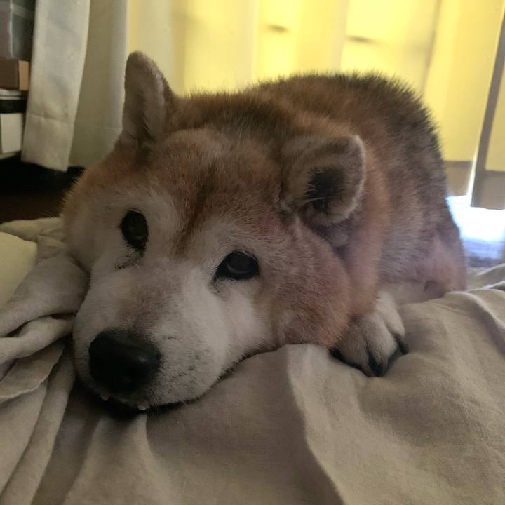 3fd95ea7 1cda 4a1b 9523 3a3b4a8991c5 1654471460526