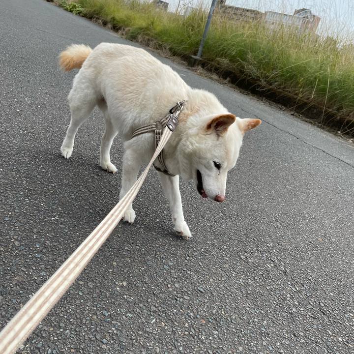 3fd966ca cdf3 407c 8215 c4119cb76dbc 1636173268514