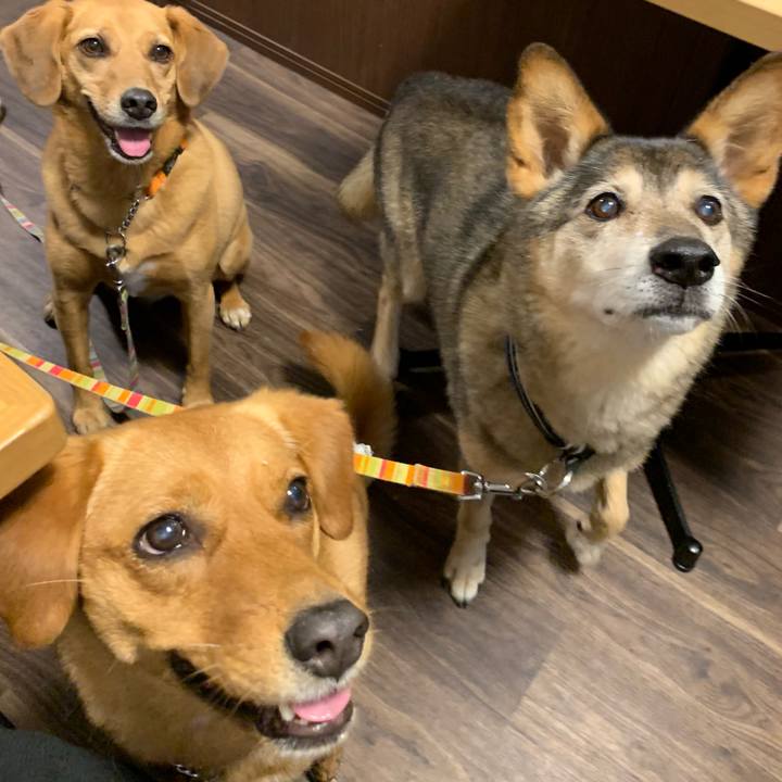 3fd985e0 6e74 41c5 81da 2e694a84ac99 1561808142444