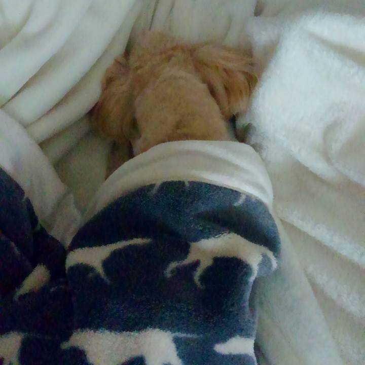 3fd9b1df e7b6 4482 b2a7 30a548c79f3c 1529238228316