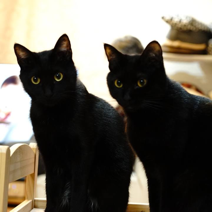 3fd9ddc0 750f 4558 b1cd cd7259805456 1554885798887