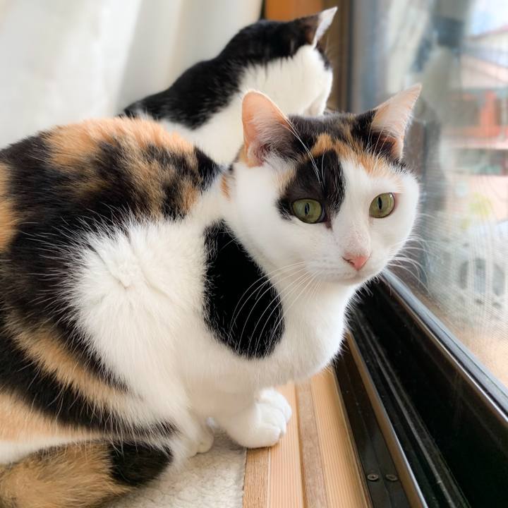 3fd9f078 4140 47db a950 fb908c432535 1580955190592