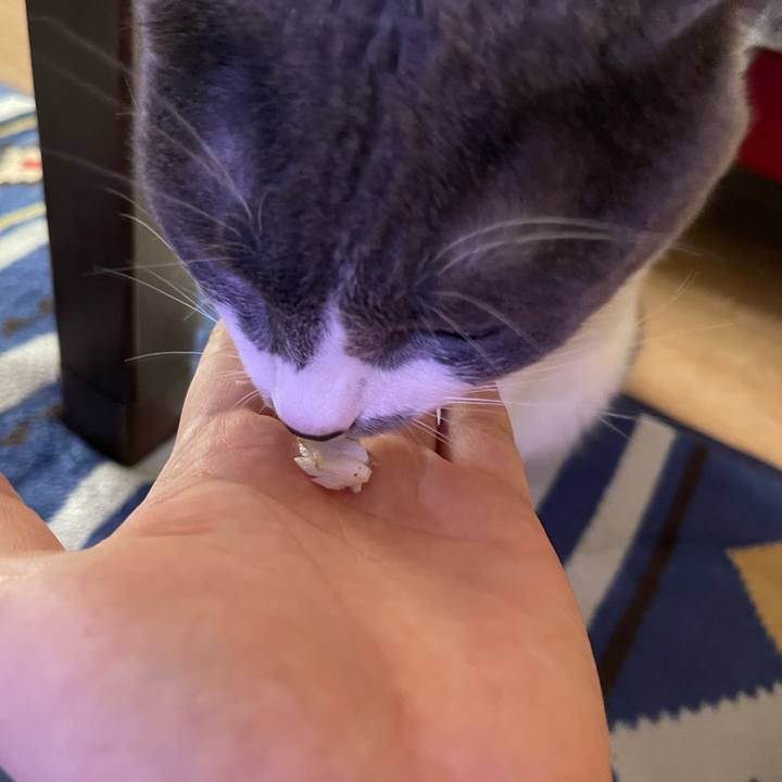 3fd9f39d f685 412b 816f 702c2f9bf8c2 1660278767678