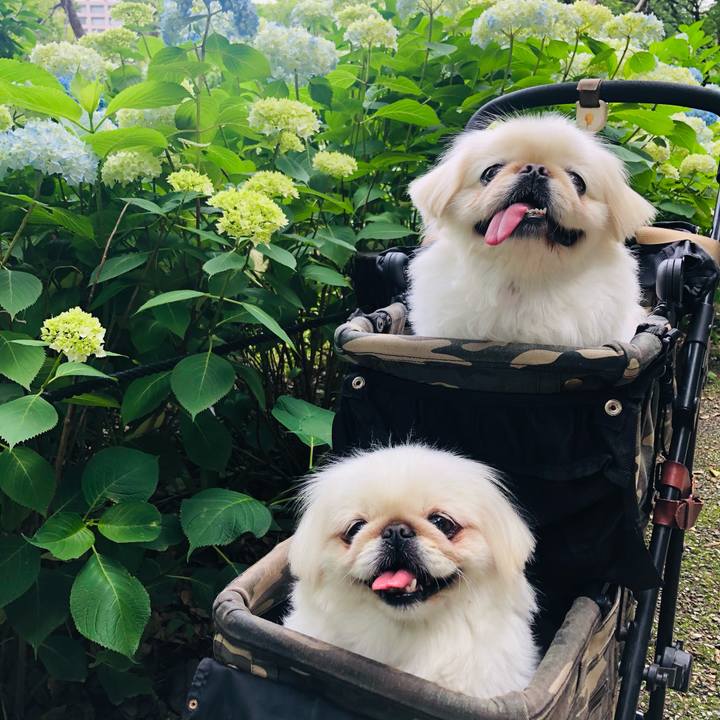 3fda00ae 8128 4c6b 8972 71031ac91787 1621725240127