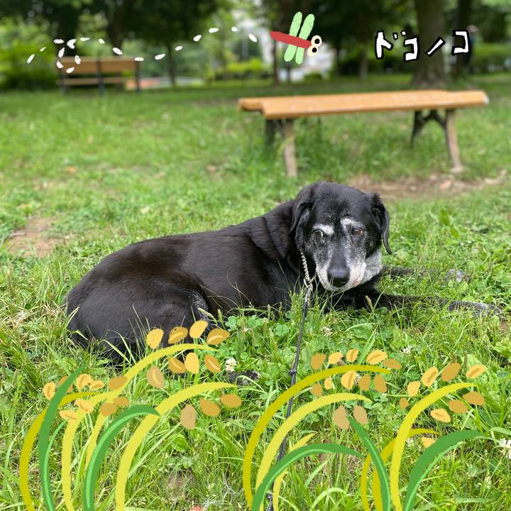 3fda00f6 c846 4324 b7e2 e7bab64373b5 1761148129582