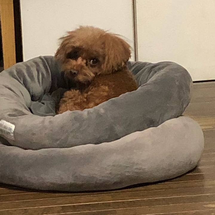 3fda28e8 d349 4f3c 8596 c9058b47e018 1609426396403