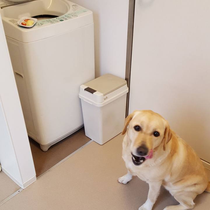 3fda2c3b 3892 40a0 92c7 e0c716b015d3 1515740818362