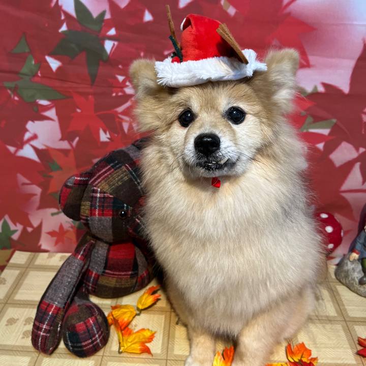 3fda42ca ef31 4e25 bd47 4616f575e432 1671889902512