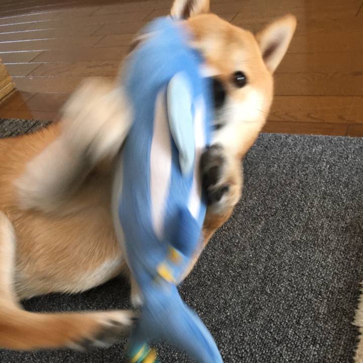 3fda60a6 0603 4d51 a290 f9d2bffadea0 1509959411126