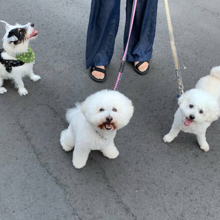 3fda9b00 f7b1 478c 948d 439e50a55dbc 1723540426085