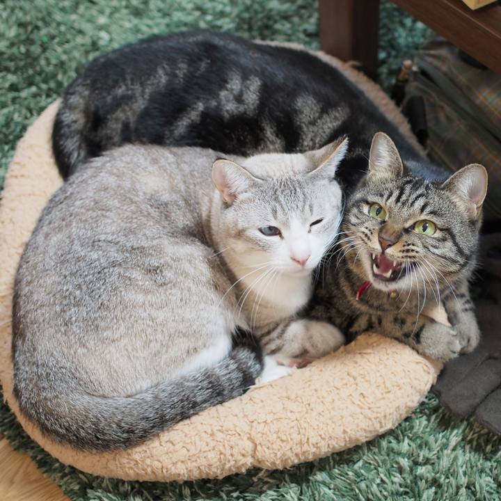 3fdb1d94 ea56 4979 9cc4 f2d3ffa9f245 1576400798622