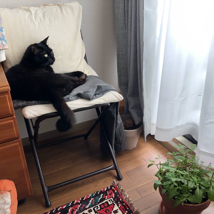 3fdb26ac ad6b 48cb bce7 9201b9e8b201 1622008345983