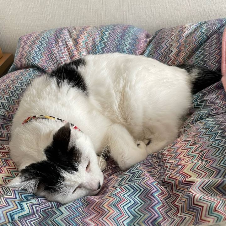 3fdb5c9d ed90 458a bd22 0f7b9939ede4 1648872701243