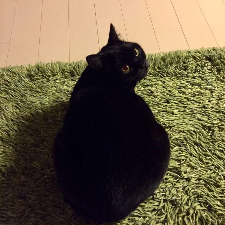 3fdb6692 cb56 4574 99ad 73368b1540a5 1519726430780