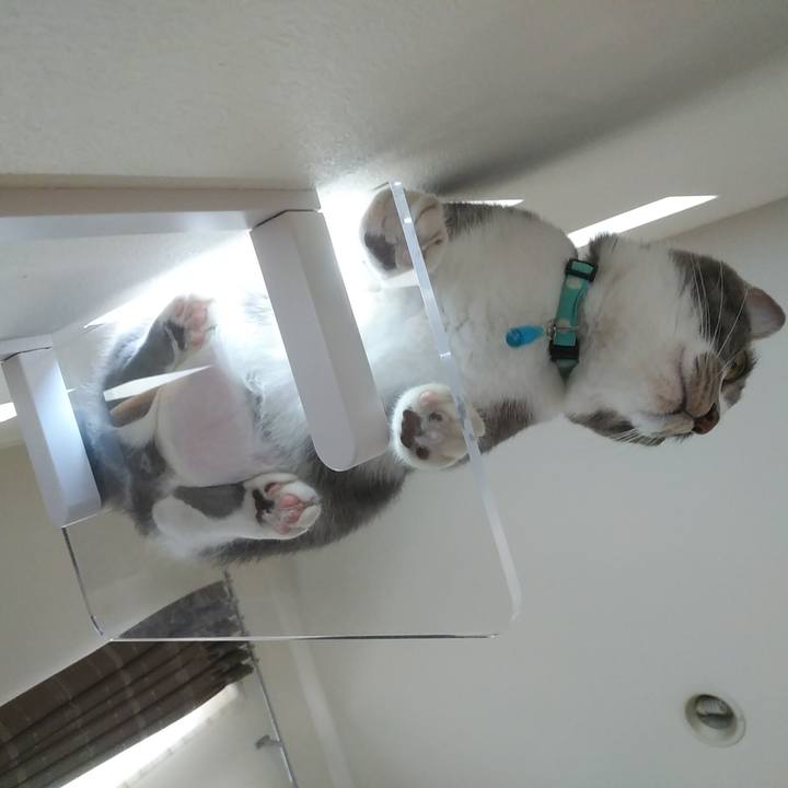 3fdb6929 3df0 48ba 9144 d244d50e519f 1591691547840