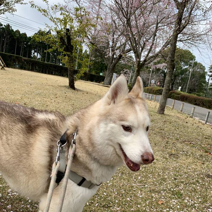 3fdb733a f3c8 4f8d b6f6 e954527381c4 1649598858334